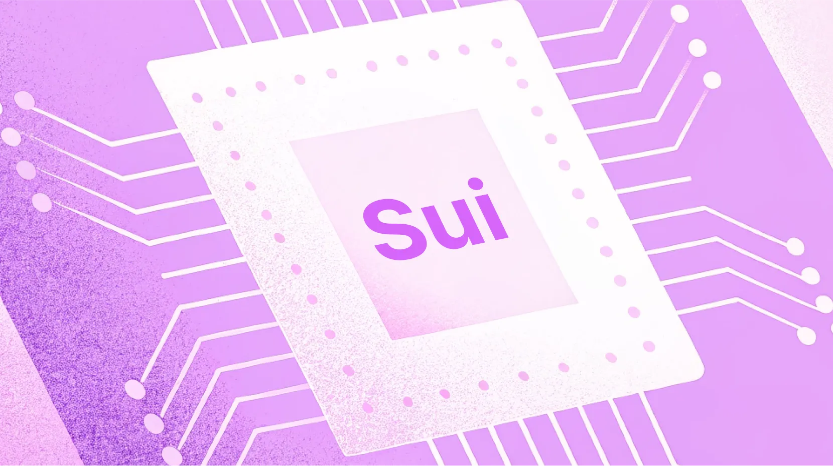 Sui Nasıl 2025’in Yıldızı Oldu? 