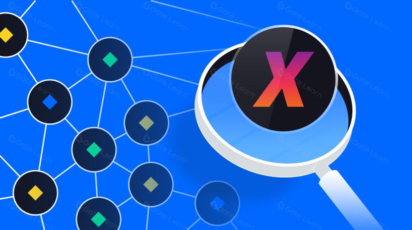 Uma visão abrangente da Rede XCAD