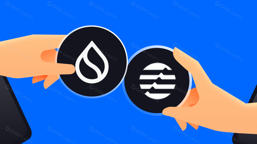 Comparação entre Sui e Aptos: Qual mostra mais promessa?