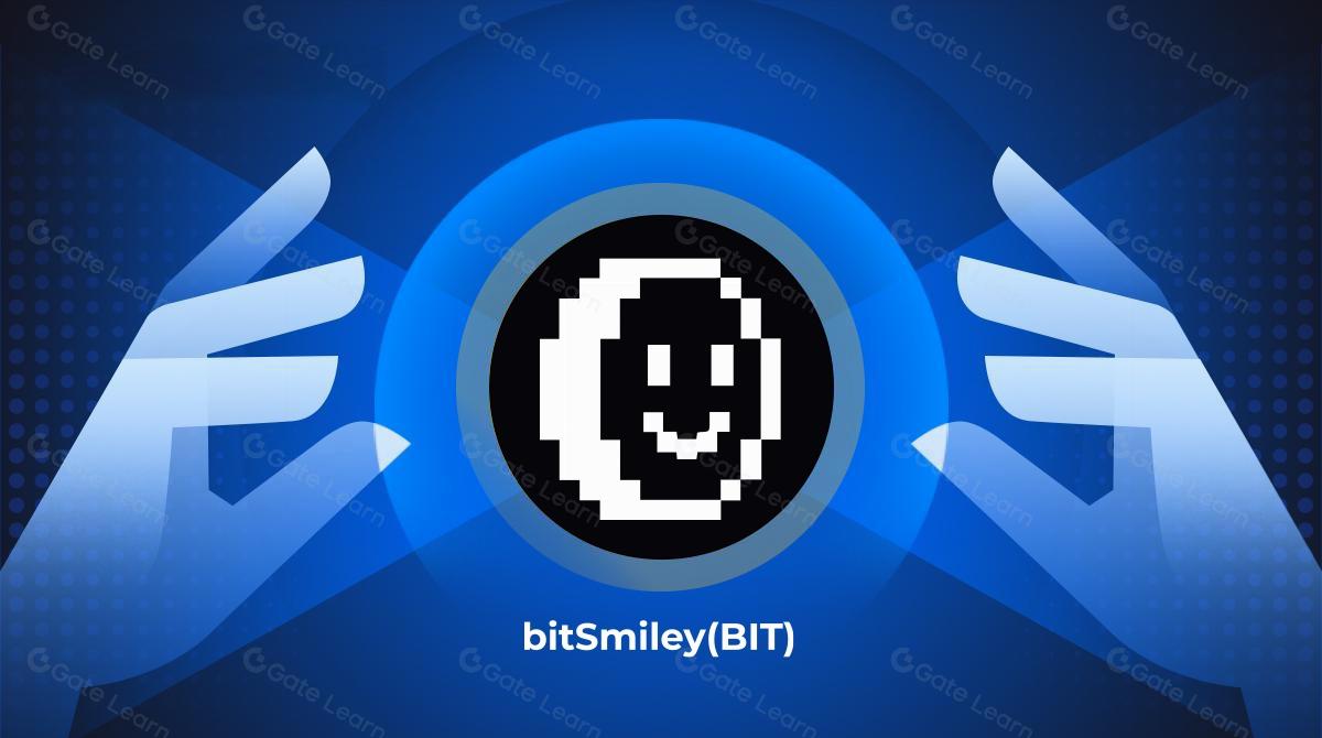 Дослідницький звіт BitSmiley (BIT)