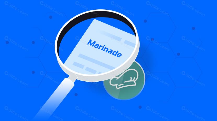 All You Need to Know about Marinade（MNDE）