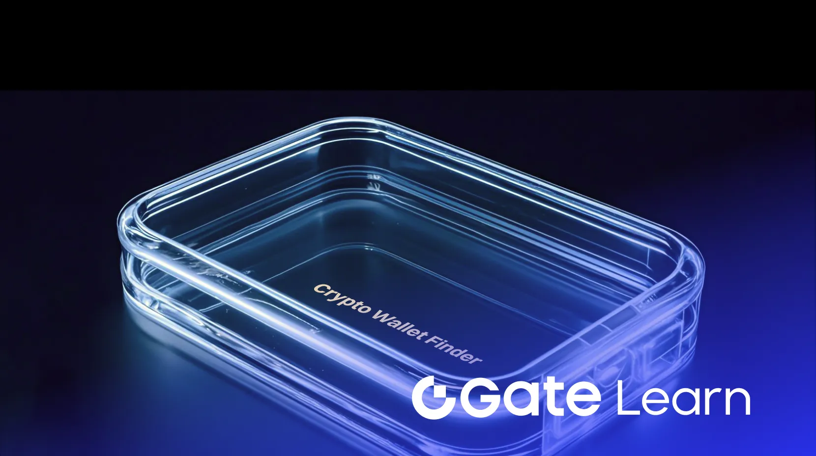 Find Your Forgotten Encryption Wallet: Crypto Wallet Finder App Guide