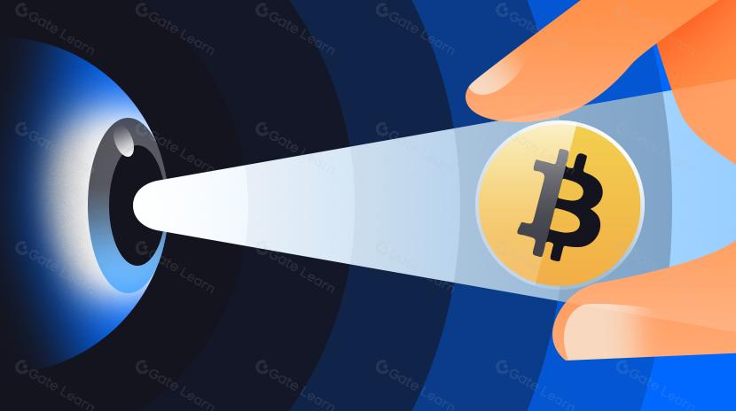 Regulamentação das criptomoedas em 2024