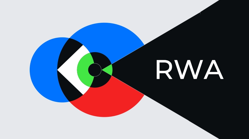 Apa yang Perusahaan Harus Ketahui Sebelum Menerapkan RWA?