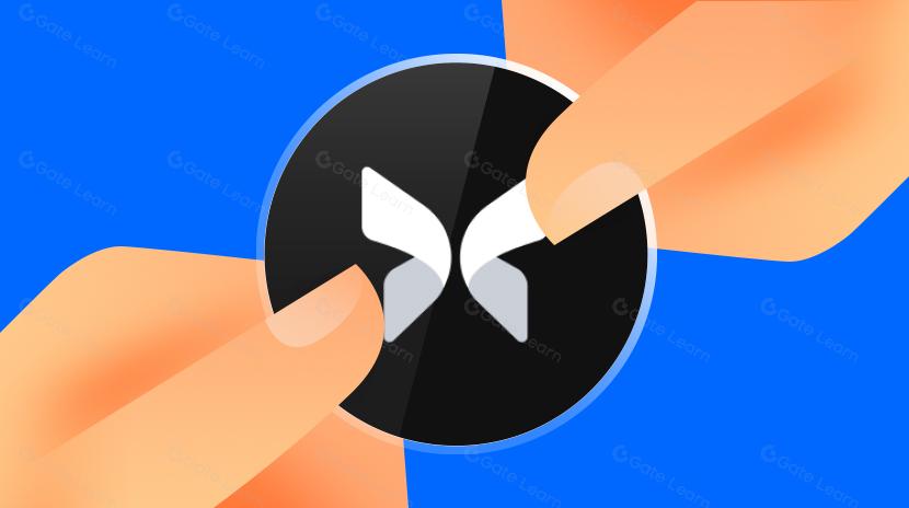 Morpho, vừa mới giành được $50 triệu vốn, liệu có thể trở thành một nhà cung cấp dịch vụ cho vay DeFi hàng đầu tiếp theo không?