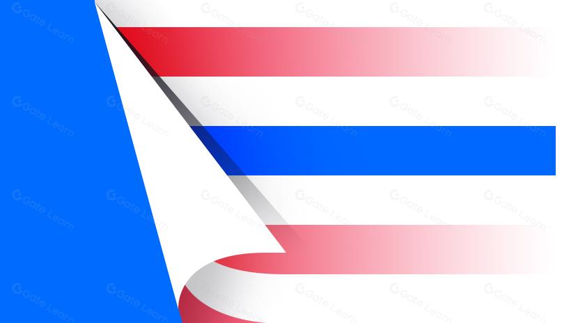 並行以太坊虛擬機(EVM):高性能區塊鏈的未來