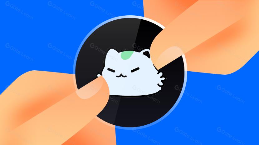 Khám phá các giải pháp phân mảnh lớp Rune Layer2: Phương pháp của Nekoswap có giá trị không?