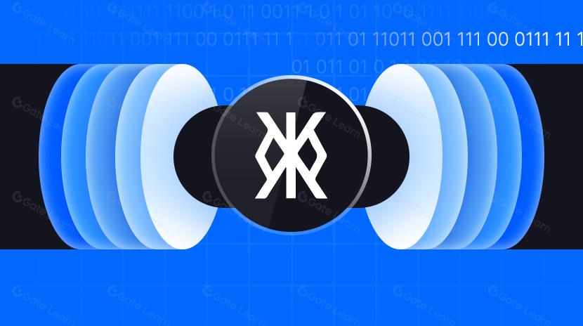 Mọi điều bạn cần biết về Viên Rùn