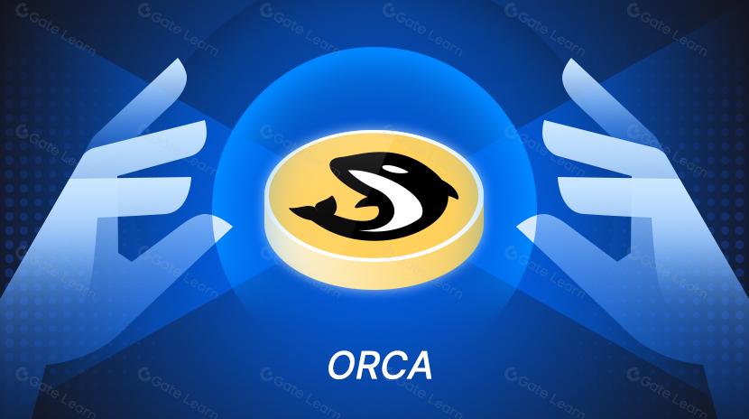 O que é ORCA? Tudo o que você precisa saber sobre o ORCA