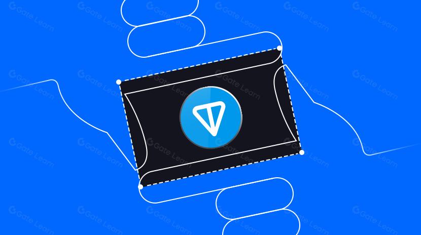 TON 生态系统概况