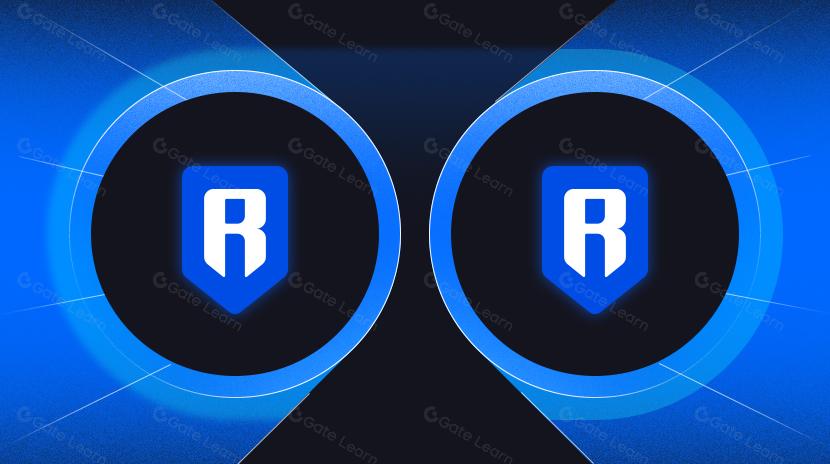 فهم رونين: نظرة شاملة