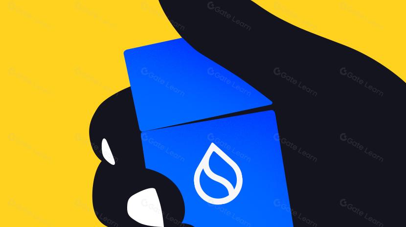 Sui:使用者如何利用其速度、安全性和可擴充性?