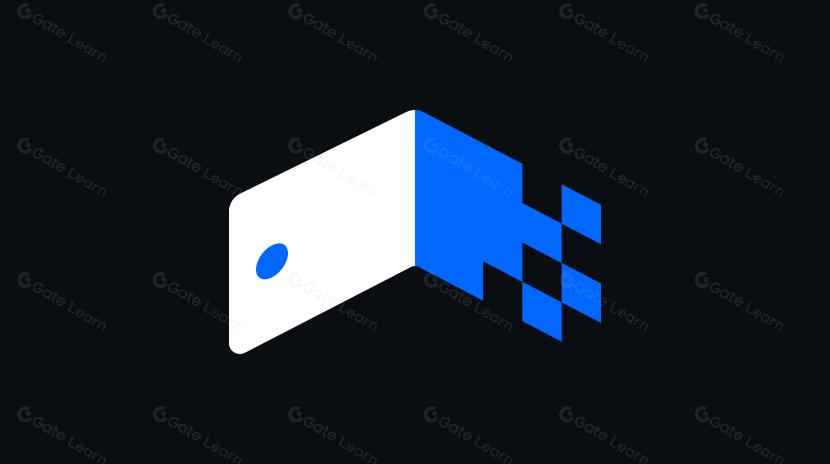 2024 年錢包狀況