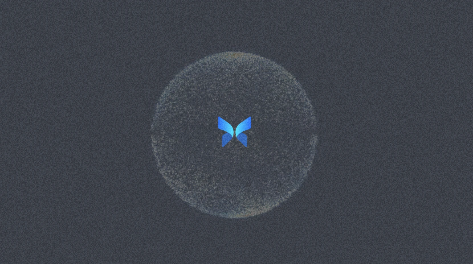 ¿Quién narices está en Morpho?