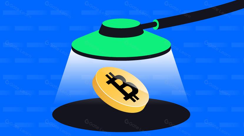 Đánh giá toàn diện về sức khỏe của Bitcoin: Không hoàn hảo nhưng đủ tốt