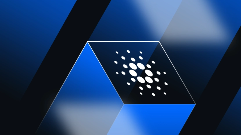 Дослідження екосистеми Cardano