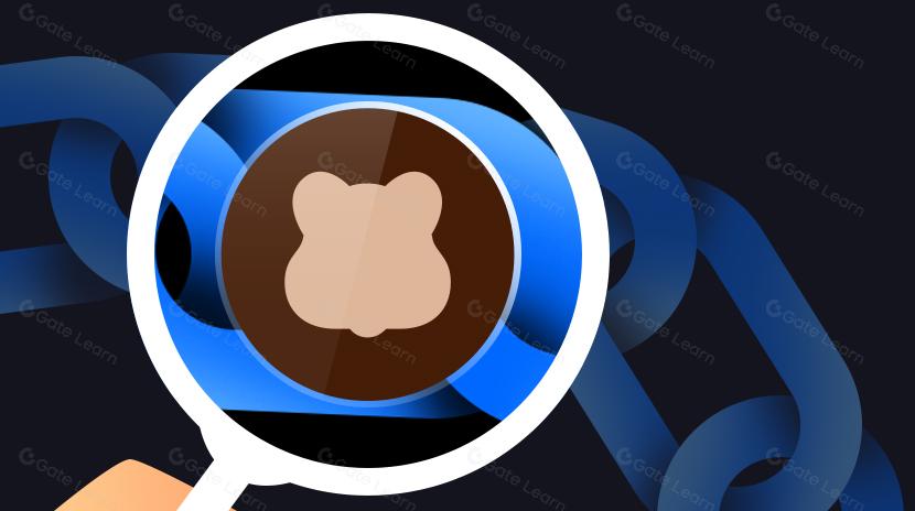 Berachain: Sân chơi Memetic hoặc Ốc đảo DeFi?