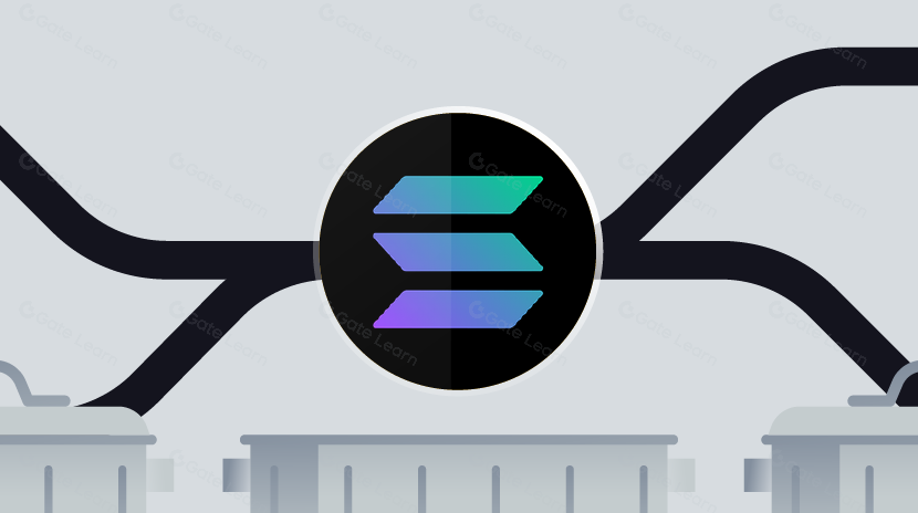 La paradoja de la transacción de spam, ¿por qué siempre fallan tus transacciones de Solana?