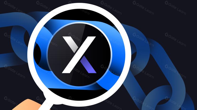 Mengapa dYdX memilih untuk meluncurkan rantainya sendiri daripada melanjutkan dengan solusi Layer 2?