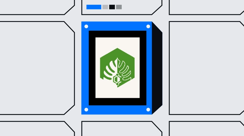 Tudo o que você precisa saber sobre a Rede Cambrian