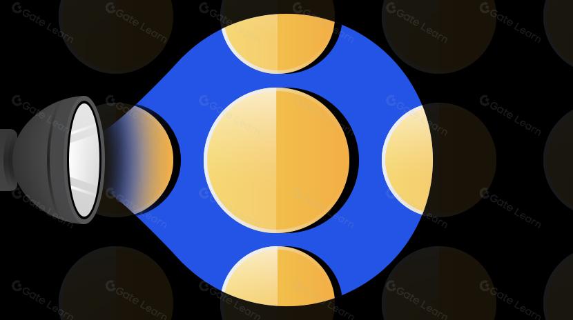 Buidler DAO: Phân tích và Tóm tắt các Phương pháp Phát hành Token Ban Đầu