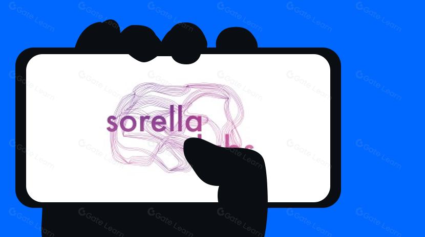 Merekonstruksi Ekosistem Ethereum: Perjuangan Sorella Labs Melawan MEV