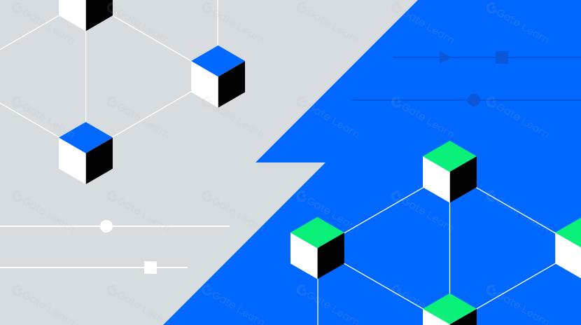 Testnet Vs. Mainnet: Qual é a diferença?