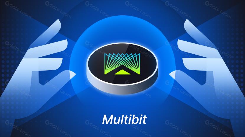 Що таке Multibit? Все, що вам потрібно знати про MUBI