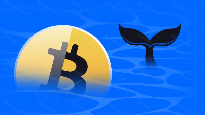¿Qué son las Ballenas de Criptomonedas? ¿Pueden los Inversores Minoristas Seguir su Ejemplo?