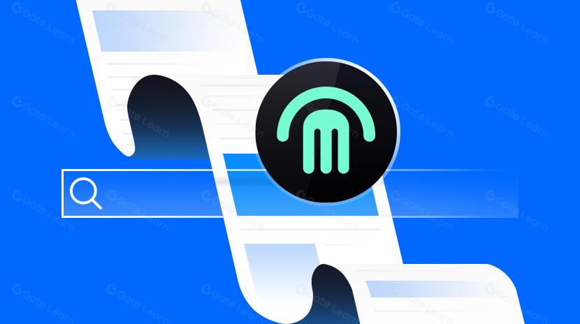 MetFi là gì? Tất cả những gì bạn cần biết về METFI (Cập nhật 2025)