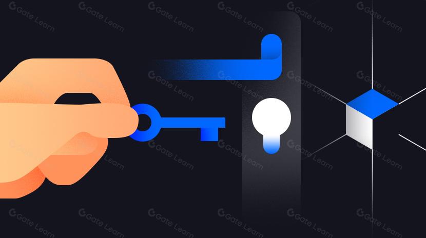 Let's Move Sui: Giải thích ngôn ngữ di chuyển cơ bản của Sui