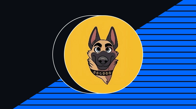 ارتفع عملة بروكلي: من كلب CZ إلى أحدث عملة ميم