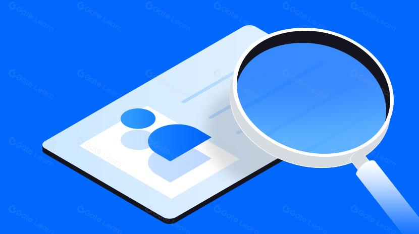 サイファーキャピタルアカウント抽象化レポート：メリット、デメリット、既存のインフラストラクチャ、将来の展望