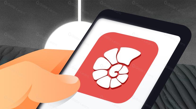 "هاتف نظام BNB" قادم؟ يكشف CoralApp عن مجمع نظام متعدد السلاسل