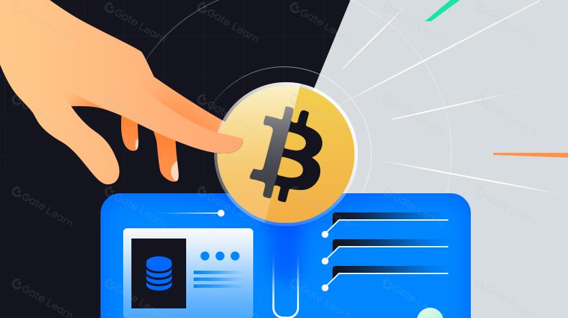 2024 年，應該用什麽加密錢包？