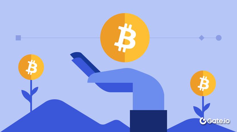 Canh tác năng suất đòn bẩy là gì? Kiếm thêm lợi nhuận từ tài sản tiền điện tử | Gate.io