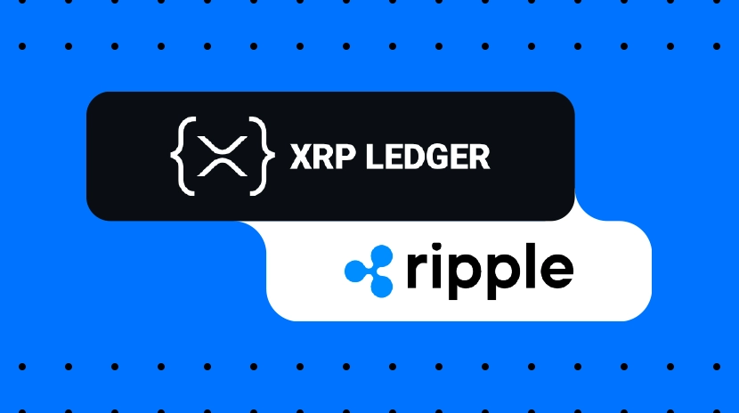 XRPの潜在能力とRippleの力