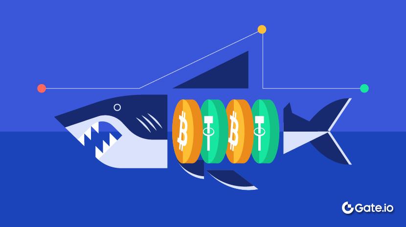 What is a SharkFin Structured Product in 2025?