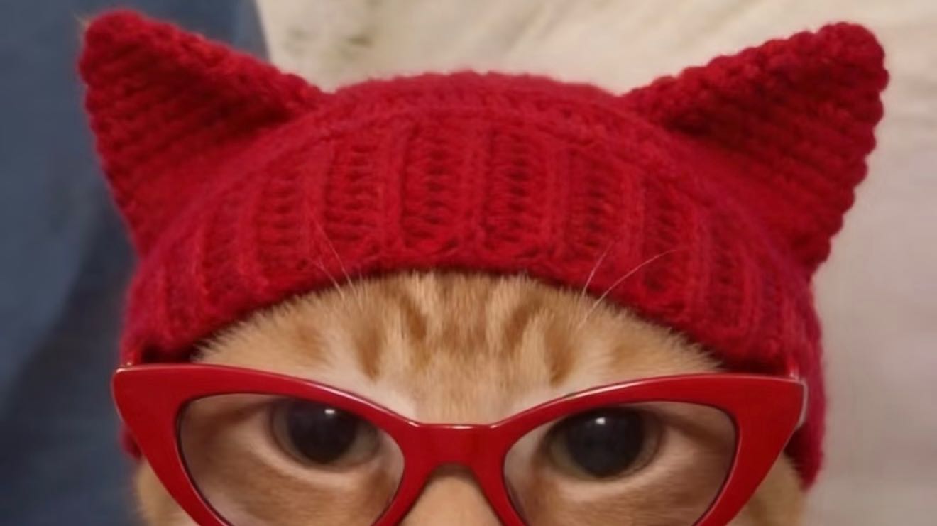 في في رأس الخنزير على اليسار ورأسي على اليمين 🐷🐗 غرفة البث المباشر تفتح الطلبات في الوقت الحقيقي