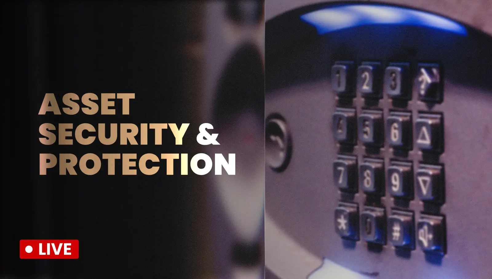 Altcoin Season Incoming? Investment Opportunities