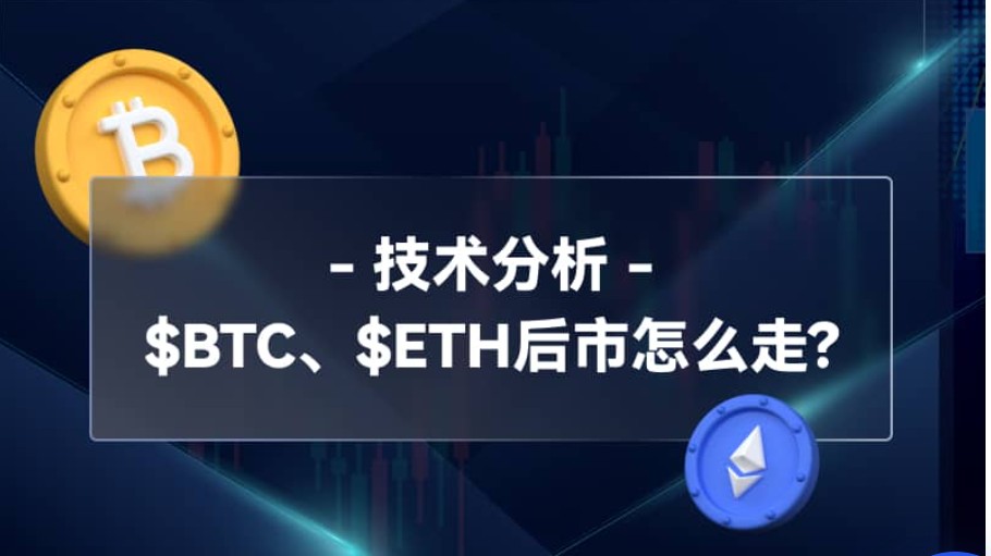 大きなパイは底のコードです