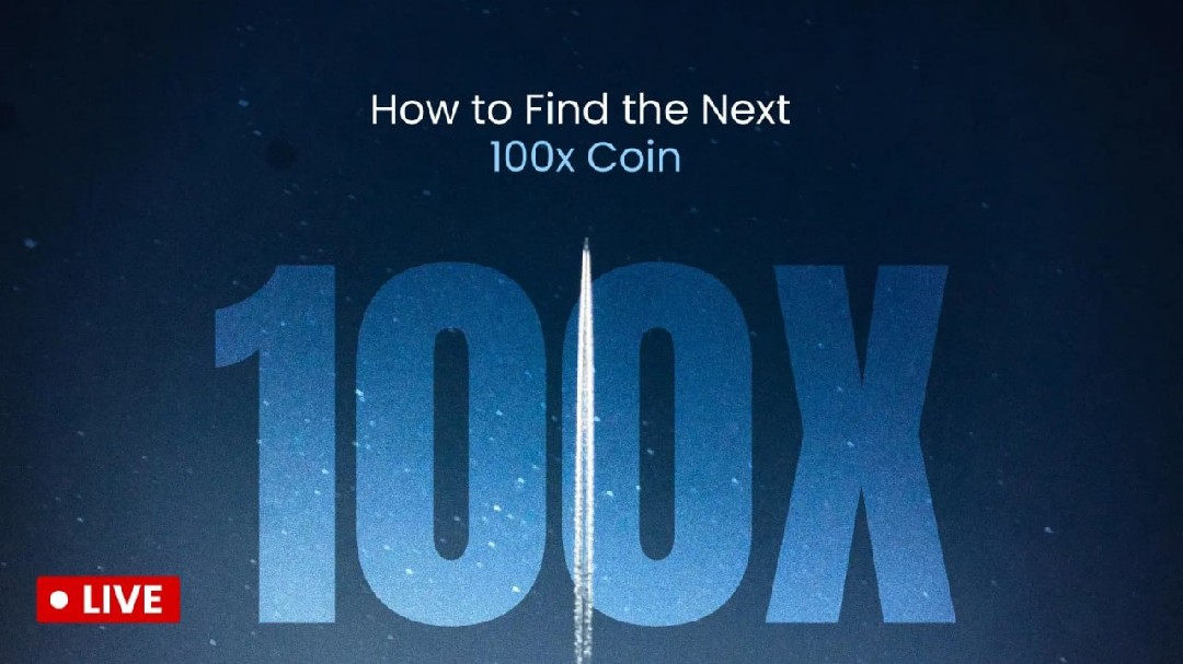 วัว vs หมี· จุดเทคนิคสำคัญ