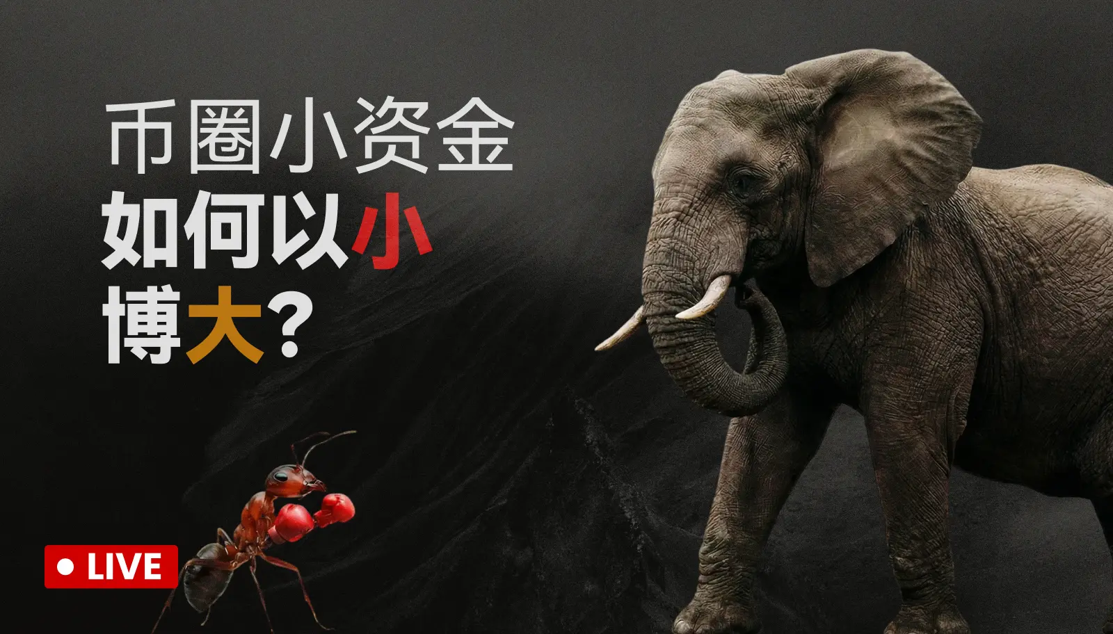 【新主播】实盘短线合约区间交易策略