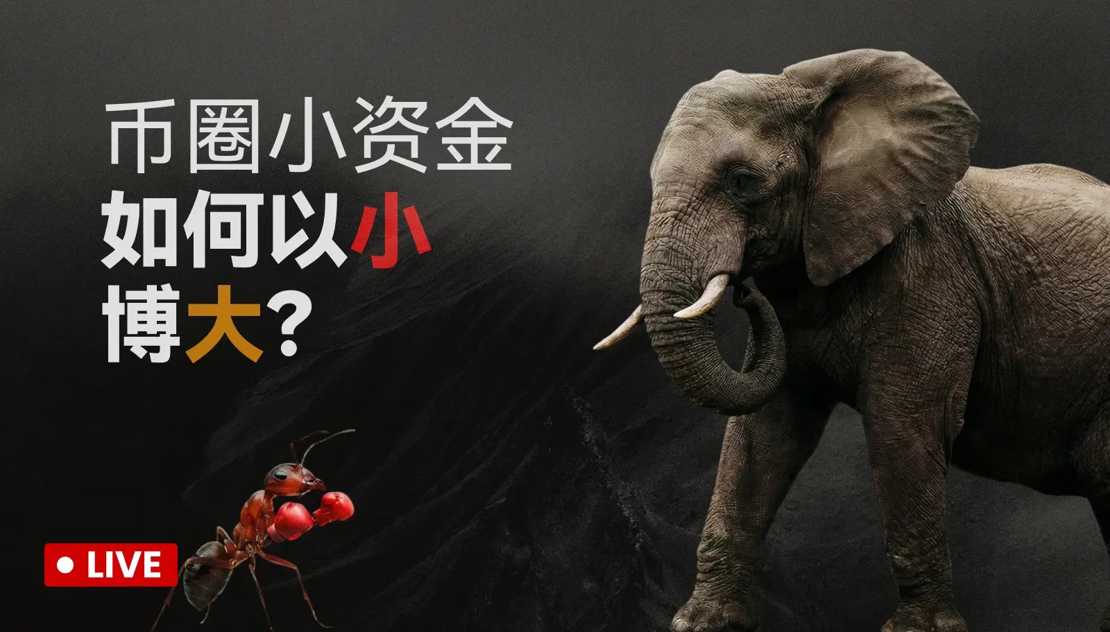 El mercado nocturno sigue en consolidación, está a punto de cerrar el k anual, ¿podrá el mercado moverse?