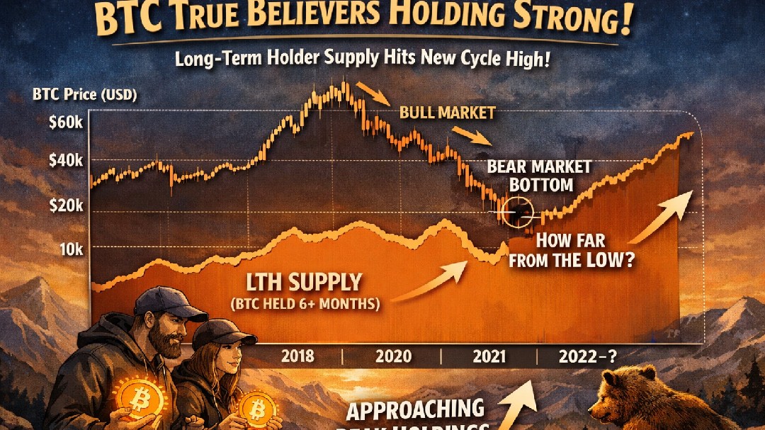 Analysis: BTC true believers' how holdings hit a new cycle h