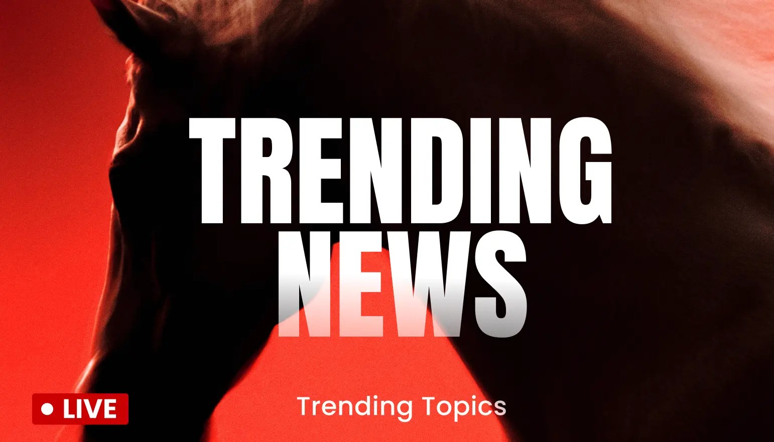 Володіння істинних прихильників BTC досягли нового циклічного максимуму