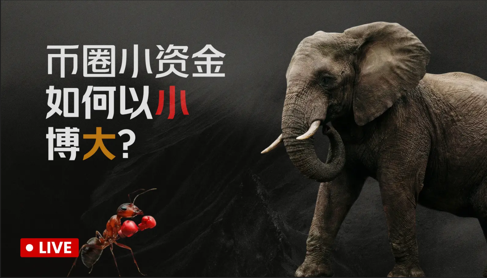 作為一個穩定虧錢的選手，你做我的對手盤肯定能賺錢