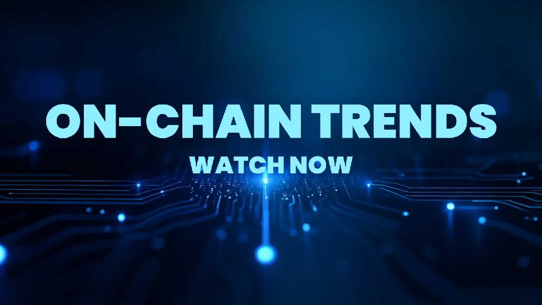 今日新主播新闻及市场情绪