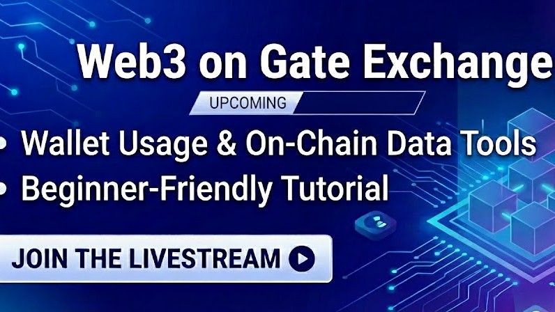 Wallet Usage And On-Chain Data Tools