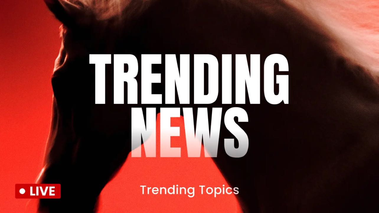 What is bulls and bears race, who is wining in future